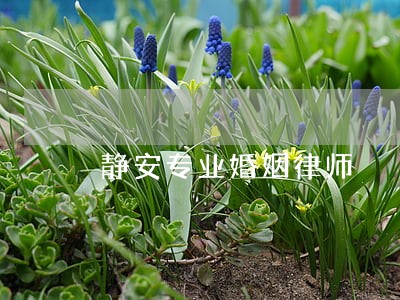 静安专业婚姻律师 静安专业婚姻律师
