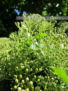 静安交通律师前十名 静安交通律师前十名