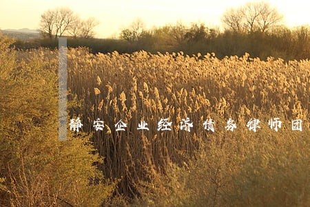 静安企业经济债务律师团队 静安企业经济债务律师团队