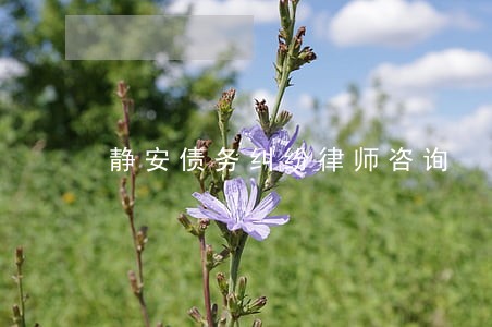 静安债务纠纷律师咨询 静安债务纠纷律师咨询
