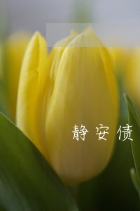 静安债务转移合同律师 静安债务转移合同律师