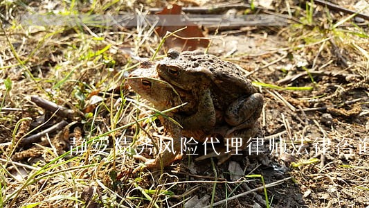 静安债务风险代理律师法律咨询 静安债务风险代理律师法律咨询