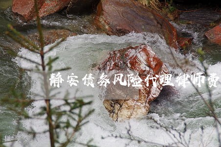 静安债务风险代理律师费用多少 静安债务风险代理律师费用多少