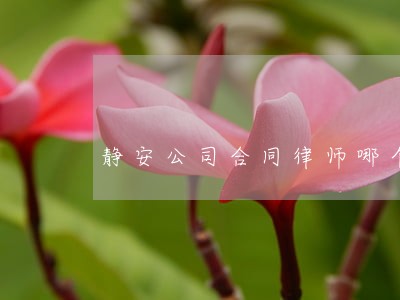 静安公司合同律师哪个好 静安公司合同律师哪个好