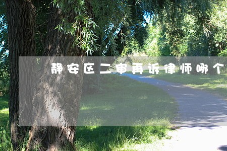 静安区二审再诉律师哪个好 静安区二审再诉律师哪个好