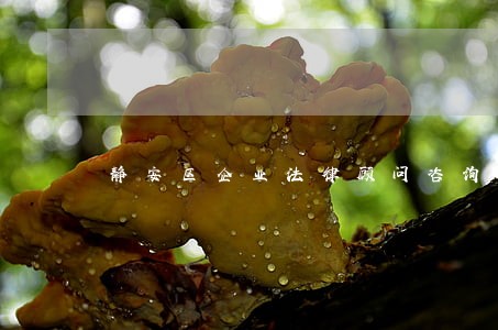 静安区企业法律顾问咨询 静安区企业法律顾问咨询