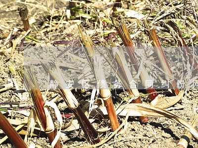静安区债务合同纠纷网律师事务所 静安区债务合同纠纷网律师事务所
