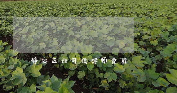静安区公司债律师费用 静安区公司债律师费用