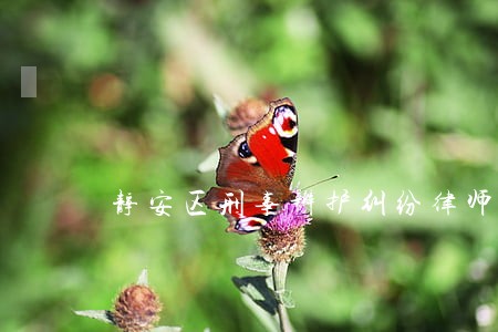 静安区刑事辩护纠纷律师 静安区刑事辩护纠纷律师