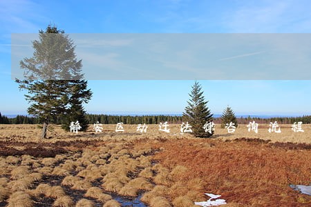 静安区动迁法律咨询流程 静安区动迁法律咨询流程