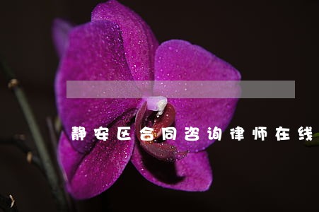 静安区合同咨询律师在线 静安区合同咨询律师在线