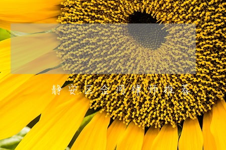 静安区合同律师推荐 静安区合同律师推荐