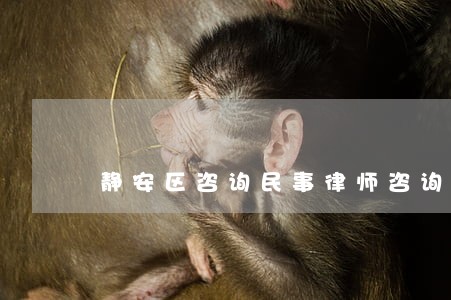 静安区咨询民事律师咨询热线 静安区咨询民事律师咨询热线