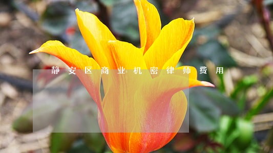 静安区商业机密律师费用 静安区商业机密律师费用