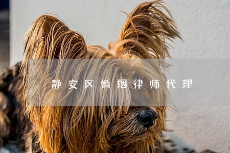 静安区婚姻律师代理 静安区婚姻律师代理