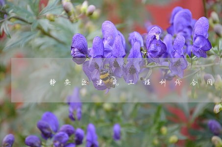 静安区建筑工程纠纷合同律师咨询 静安区建筑工程纠纷合同律师咨询