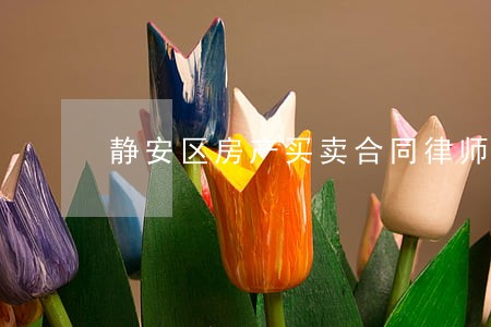 静安区房产买卖合同律师热线电话 静安区房产买卖合同律师热线电话