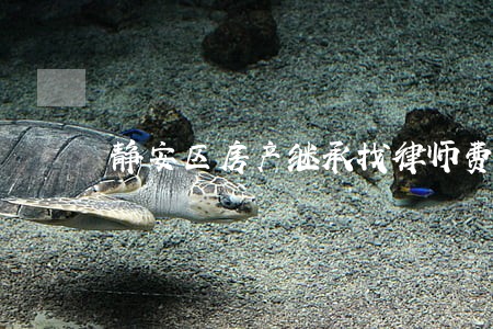 静安区房产继承找律师费用 静安区房产继承找律师费用