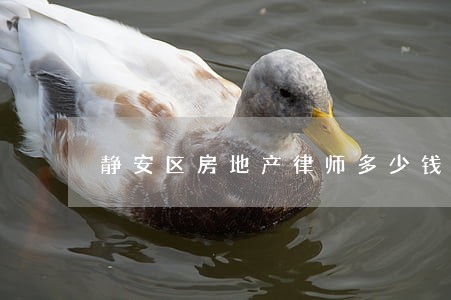 静安区房地产律师多少钱