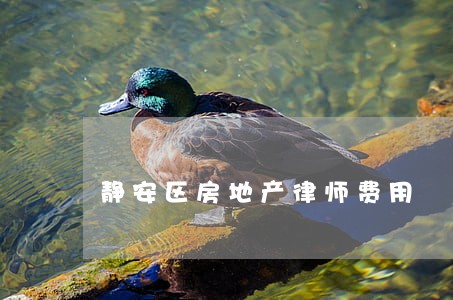 静安区房地产律师费用 静安区房地产律师费用