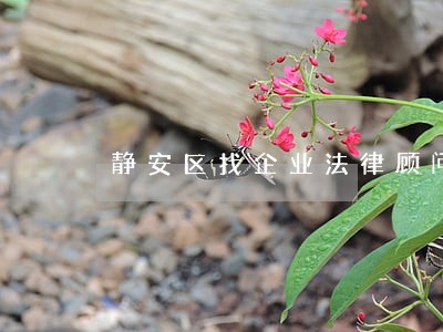 静安区找企业法律顾问 静安区找企业法律顾问