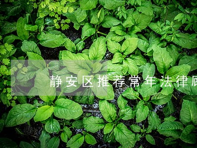 静安区推荐常年法律顾问 静安区推荐常年法律顾问