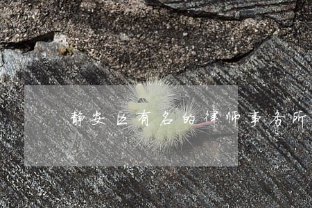 静安区有名的律师事务所免费咨询 静安区有名的律师事务所免费咨询
