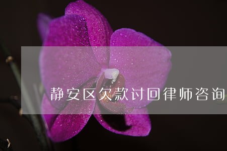 静安区欠款讨回律师咨询专线 静安区欠款讨回律师咨询专线