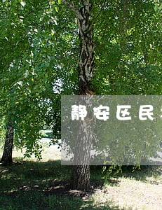 静安区民事经济纠纷律师在线咨询 静安区民事经济纠纷律师在线咨询