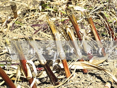 静安区法律咨询律师费 静安区法律咨询律师费