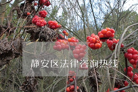 静安区法律咨询热线 静安区法律咨询热线
