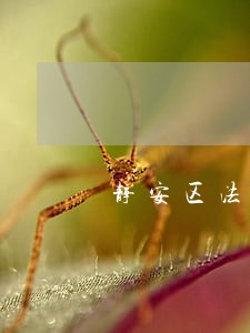 静安区法律顾问多少钱 静安区法律顾问多少钱