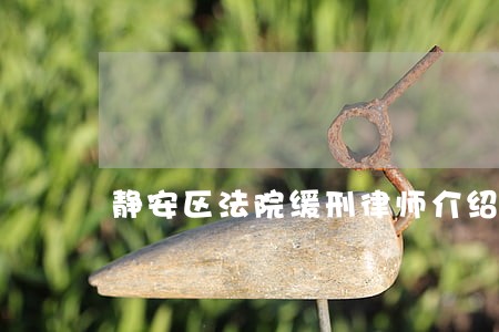 静安区法院缓刑律师介绍 静安区法院缓刑律师介绍