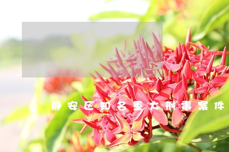 静安区知名重大刑事案件律师费用 静安区知名重大刑事案件律师费用