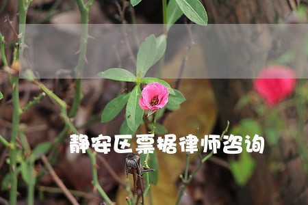 静安区票据律师咨询 静安区票据律师咨询