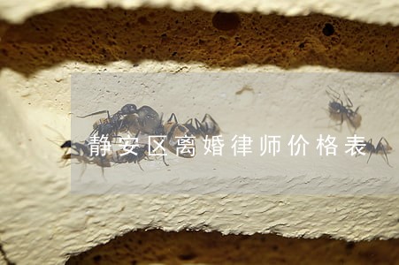静安区离婚律师价格表 静安区离婚律师价格表