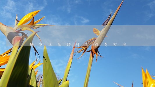 静安区离婚律师收费标准