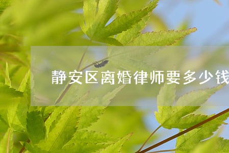 静安区离婚律师要多少钱 静安区离婚律师要多少钱
