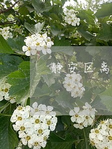 静安区离婚法律咨询律师 静安区离婚法律咨询律师