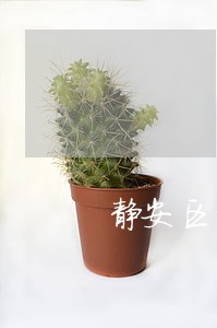 静安区诉讼法律咨询热线 静安区诉讼法律咨询热线
