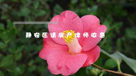 静安区请房产律师收费 静安区请房产律师收费