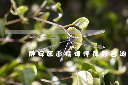 静安区追债律师在线咨询联系方式