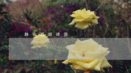静安婚姻律师 静安婚姻律师