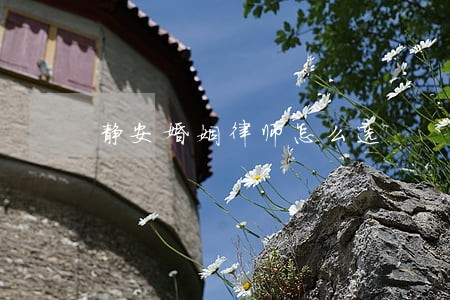 静安婚姻律师怎么选 静安婚姻律师怎么选
