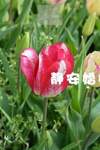 静安婚姻案件律师哪里找