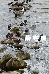 静安房产遗产律师收费 静安房产遗产律师收费