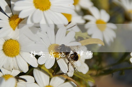静安房地产律师 静安房地产律师
