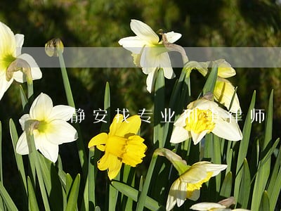 静安找专业刑事律师 静安找专业刑事律师