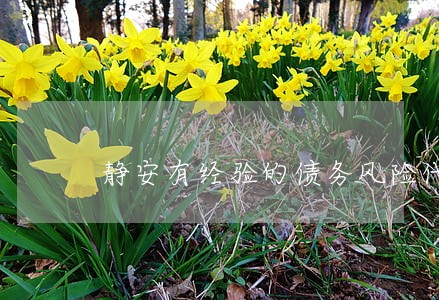 静安有经验的债务风险代理律师 静安有经验的债务风险代理律师