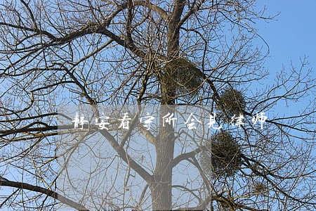 静安看守所会见律师